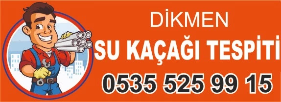 Dikmen su kaçağı tespiti – 0535 525 99 15